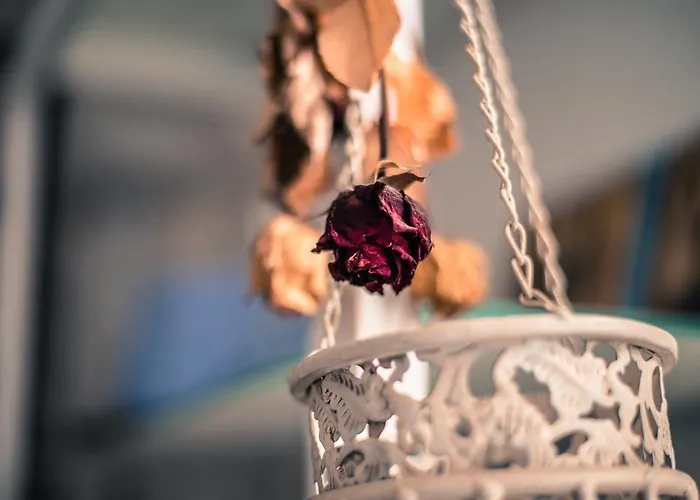 Frühstückspension Sottocoperta 3*